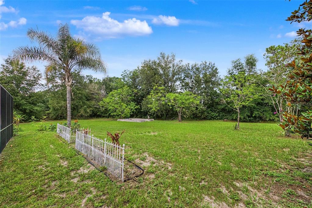 4363 Andres Street Spring Hill, FL 34608 - Photo 32 of 38