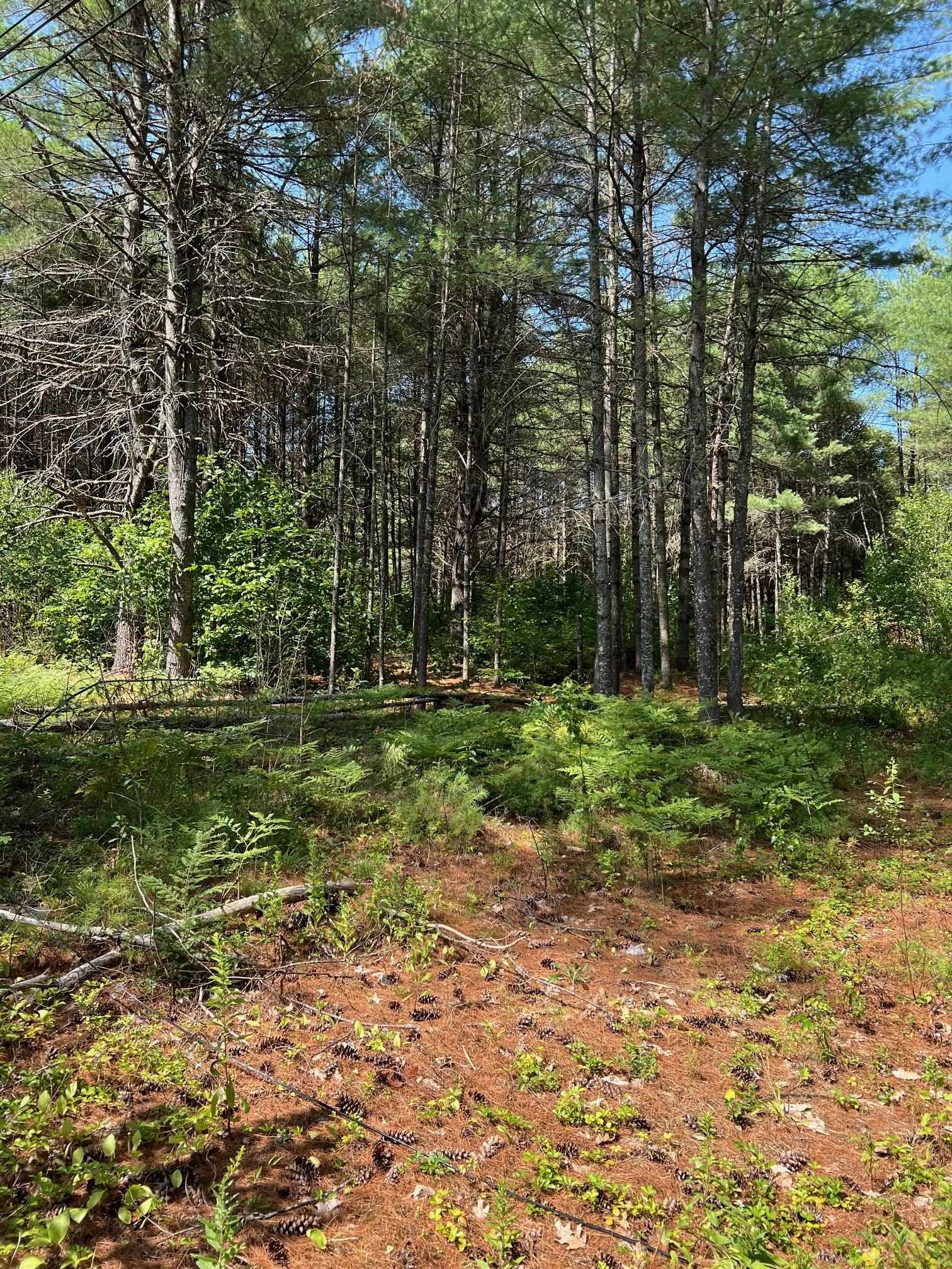 185 Dorrs Corner Road, Unit LOT #4 Ossipee, NH 03864 - Photo 3 of 6 Gallery Image 3