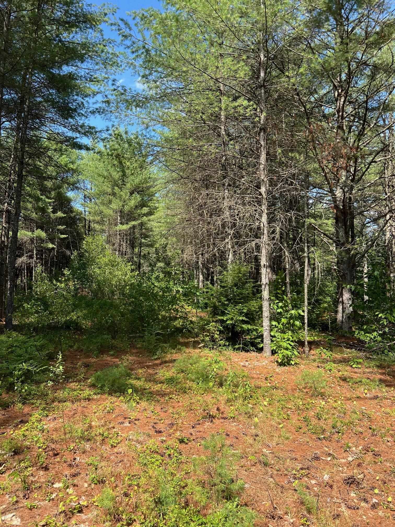 185 Dorrs Corner Road, Unit LOT #4 Ossipee, NH 03864 - Photo 4 of 6 Gallery Image 4