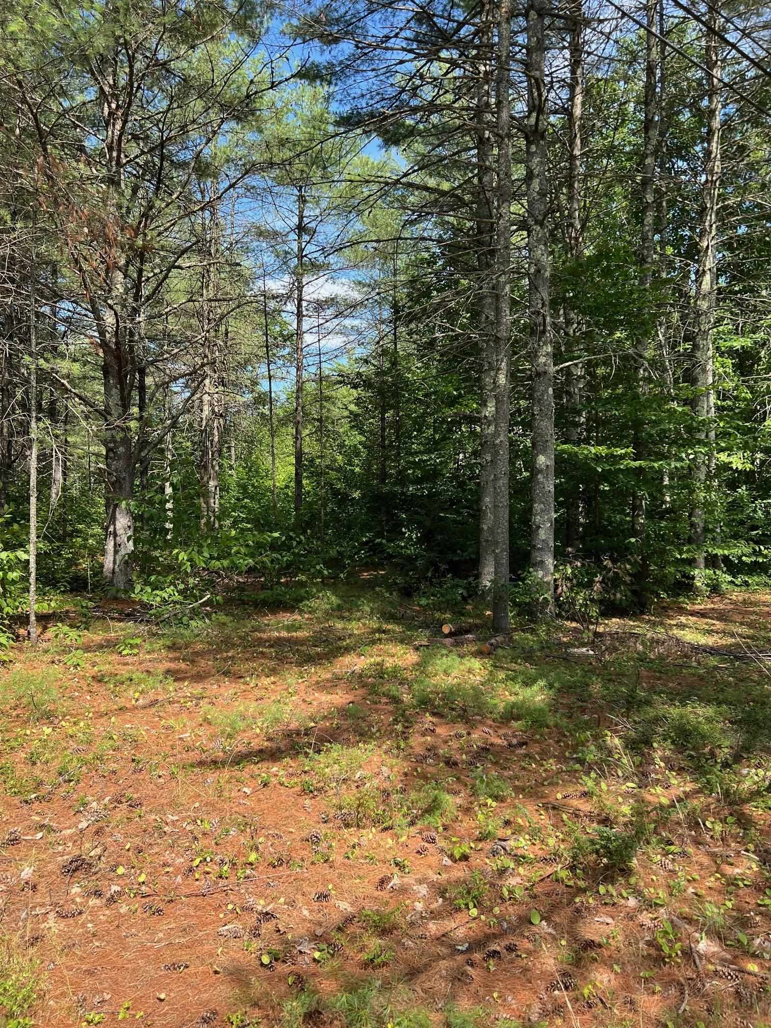 185 Dorrs Corner Road, Unit LOT #4 Ossipee, NH 03864 - Photo 5 of 6 Gallery Image 5