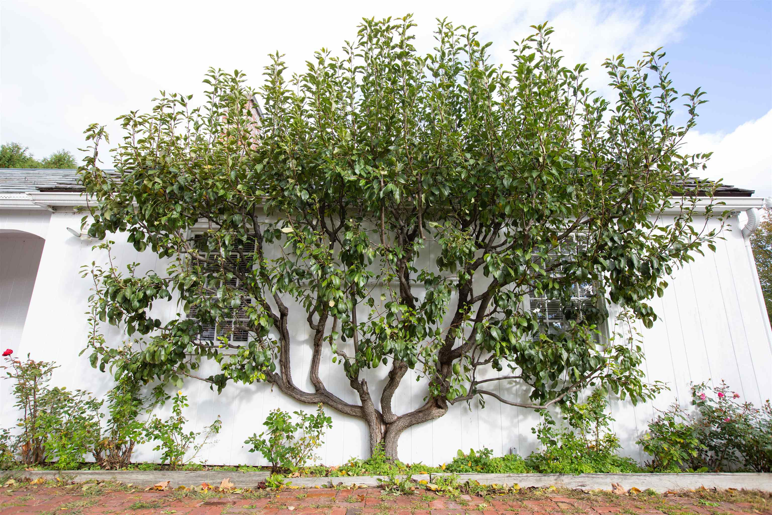 151 Crescent Road Burlington, VT 05401 - Photo 32 of 34