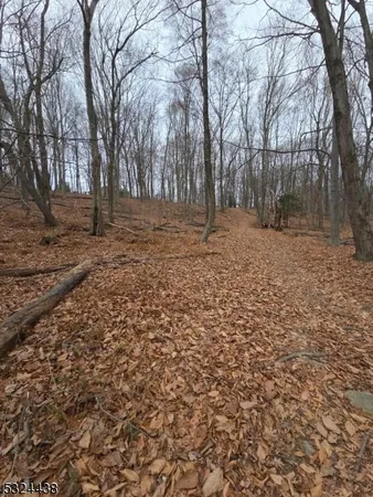 a backyard of a house with trees
