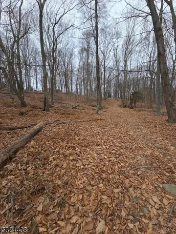 a backyard of a house with trees