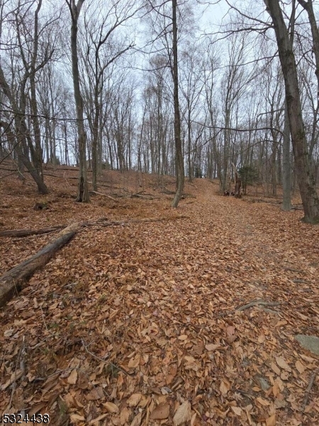 0 Jenkins Road Hewitt, NJ 07421 - Photo 2 of 5 a backyard of a house with trees