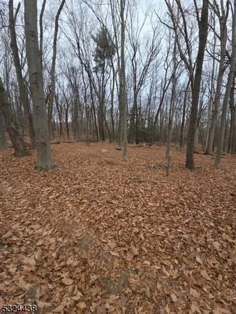 a view of a yard with trees
