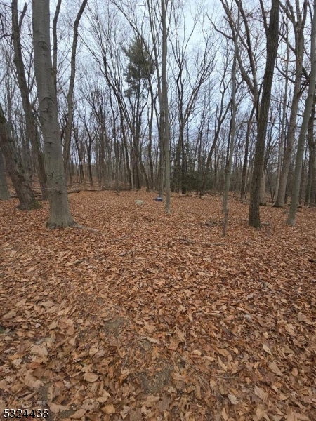0 Jenkins Road Hewitt, NJ 07421 - Photo 4 of 5 a view of a yard with trees