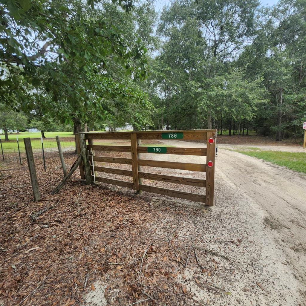 786 Blackberry Road Baconton, GA 31716 - Photo 2 of 67 Gallery Image 2