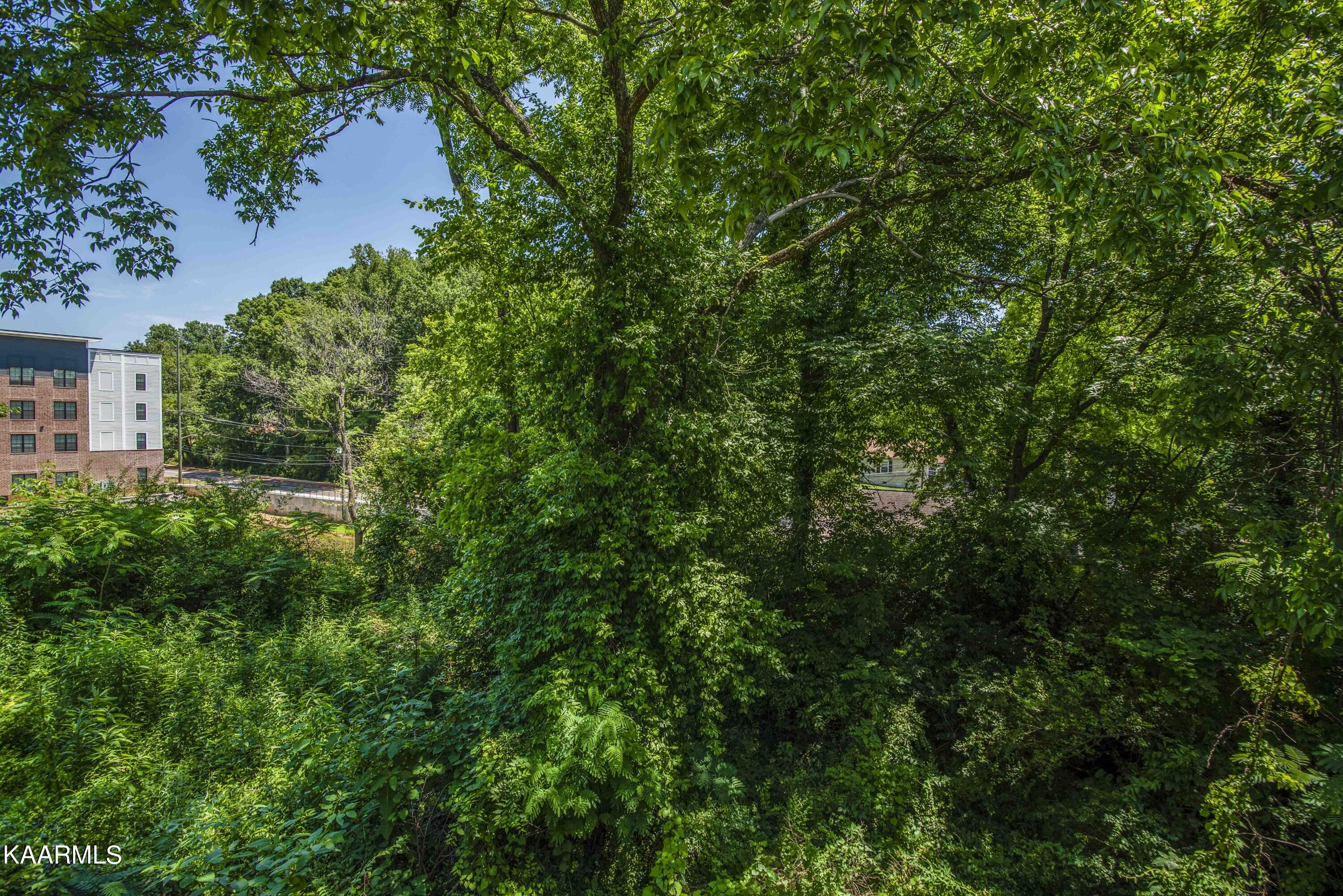 616 Hillview Road Knoxville, TN 37919 - Photo 24 of 31 yard_1