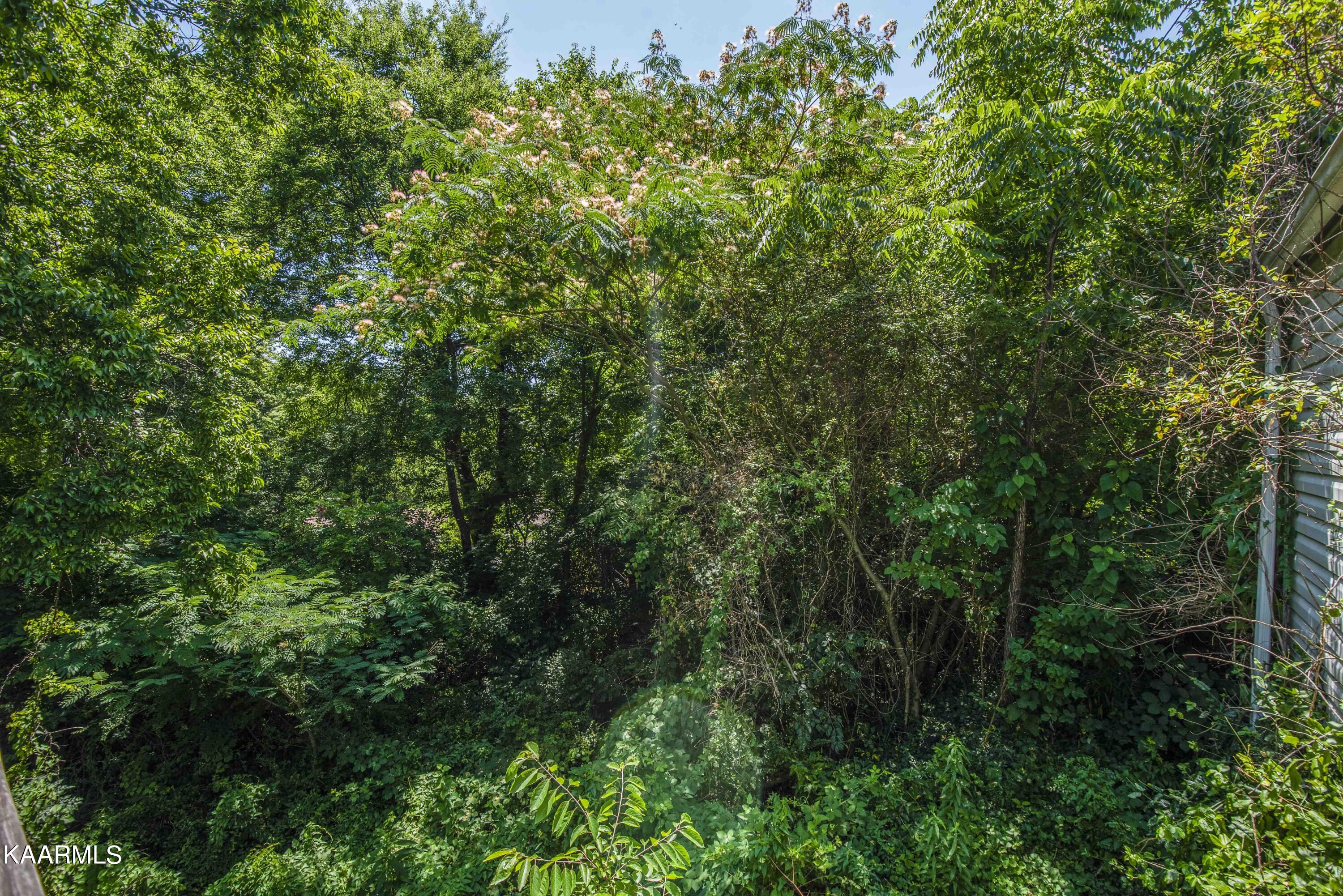 616 Hillview Road Knoxville, TN 37919 - Photo 28 of 31 yard 1_1