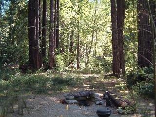 13400 Irmulco Road Willits, CA 95490 - Photo 3 of 4 a view of forest