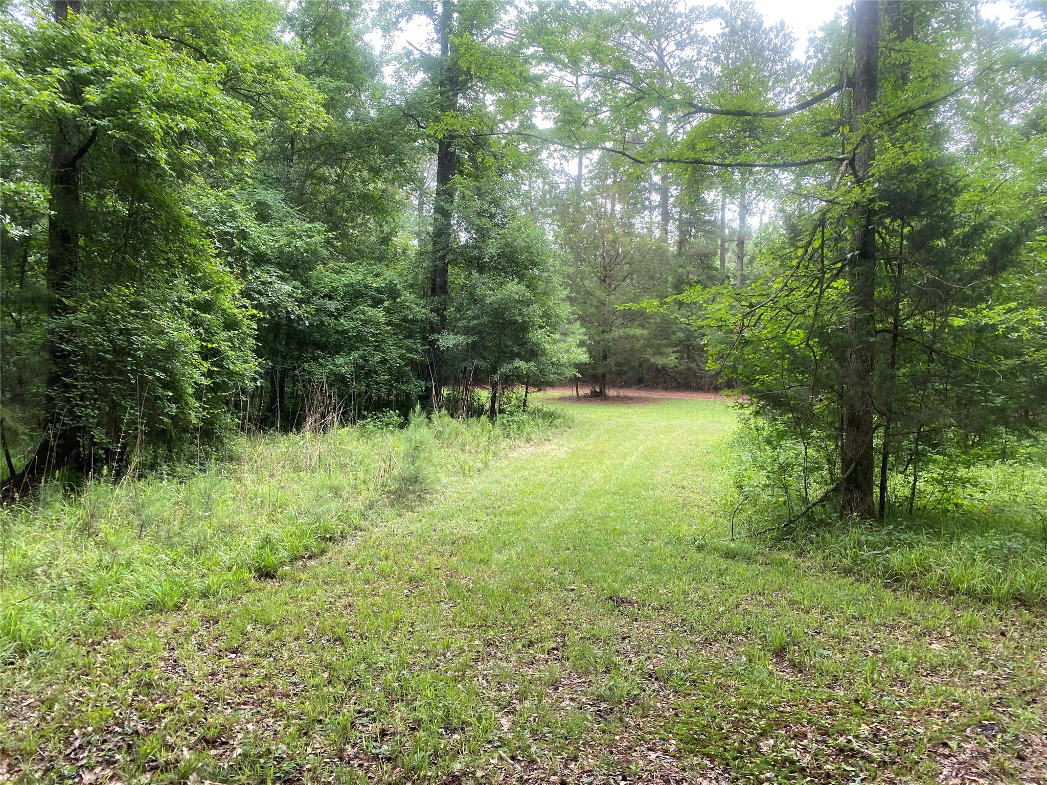 2983 Mallorysville Road Tignall, GA 30668 - Photo 39 of 47
