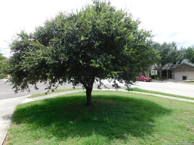 $1,950 | 5708 Mahogany Bay, Schertz, TX 78108