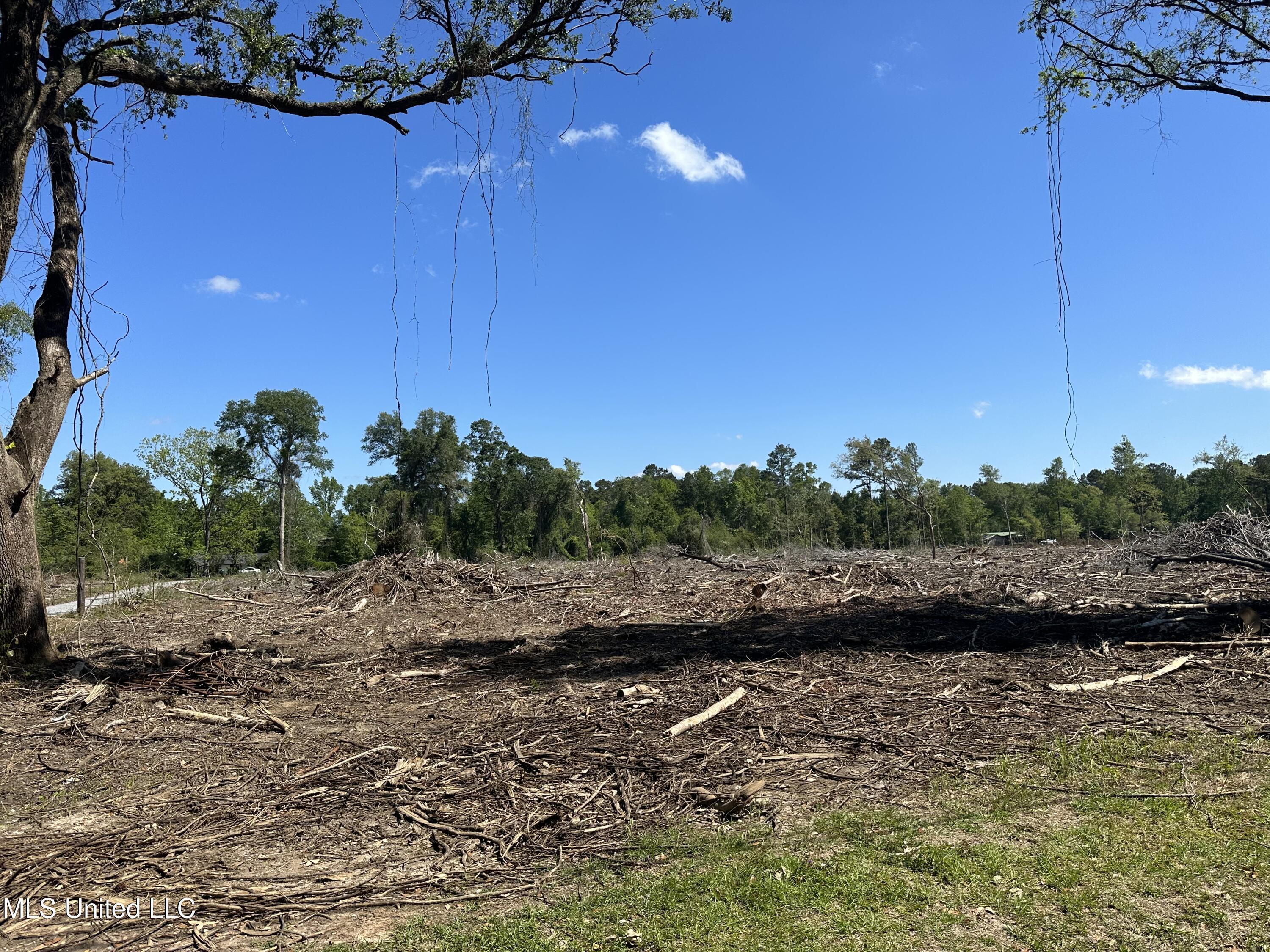 0 Davis Sawmill Road Lucedale, MS 39452 - Photo 3 of 3 C1605026-A927-40EE-89EC-4853B28BE03F