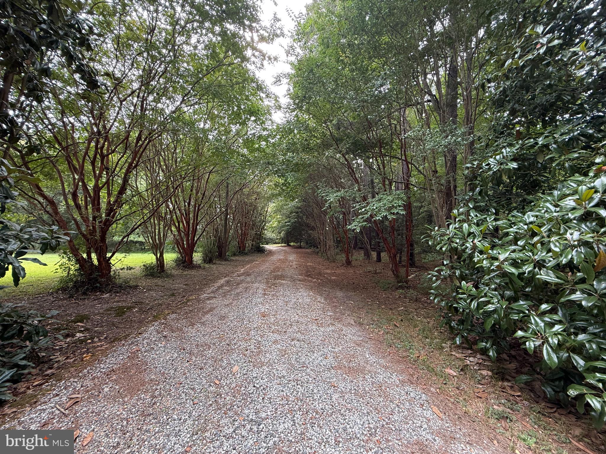 404 Woodbrook Road Lancaster, VA 22503 - Photo 10 of 62