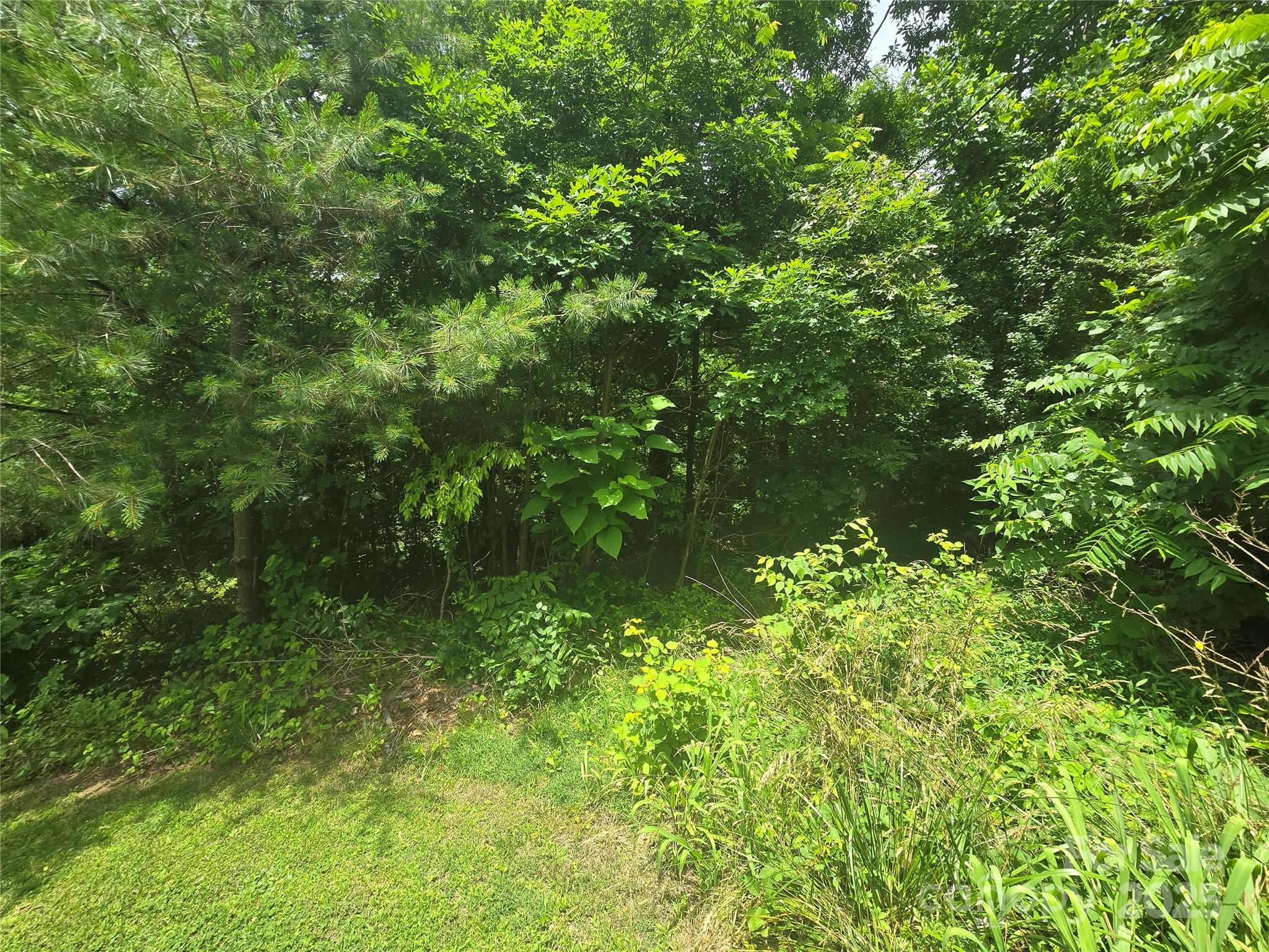 23 Maple Avenue Candler, NC 28715 - Photo 15 of 16 a view of a garden