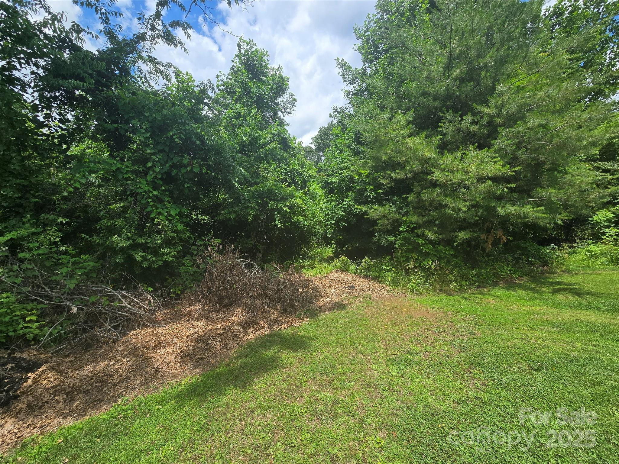 23 Maple Avenue Candler, NC 28715 - Photo 16 of 16 a view of a yard with a tree