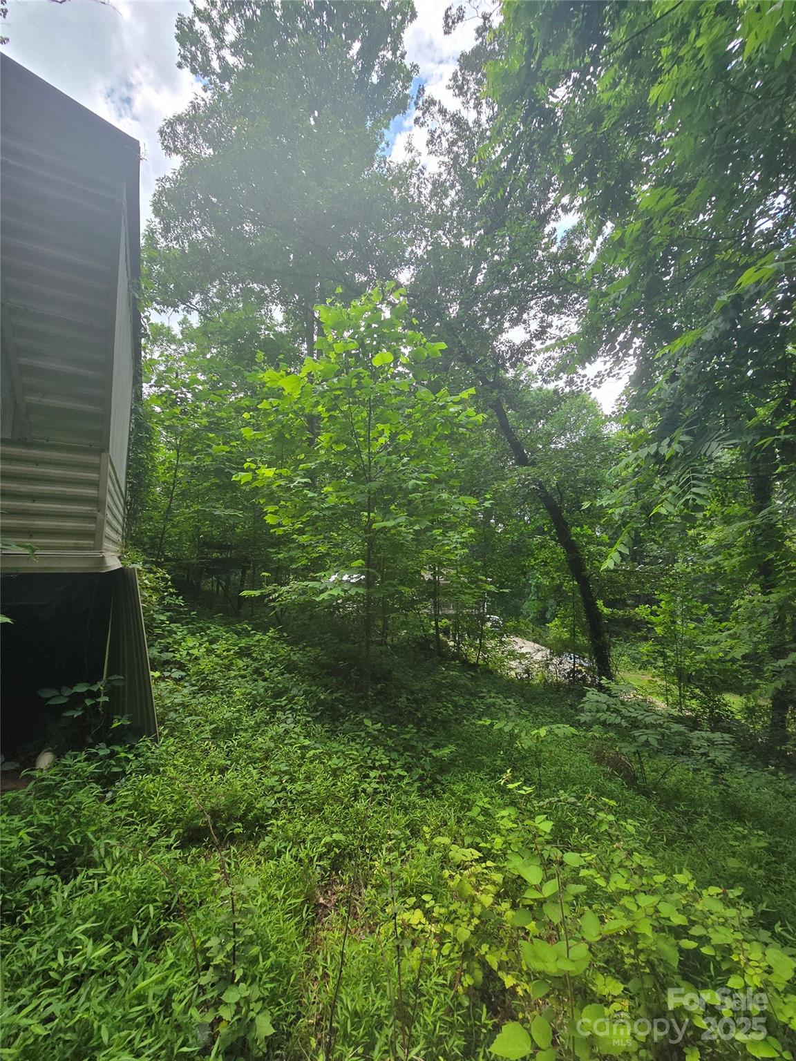 23 Maple Avenue Candler, NC 28715 - Photo 10 of 16 a view of a yard