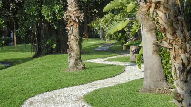 a view of a park with a tree