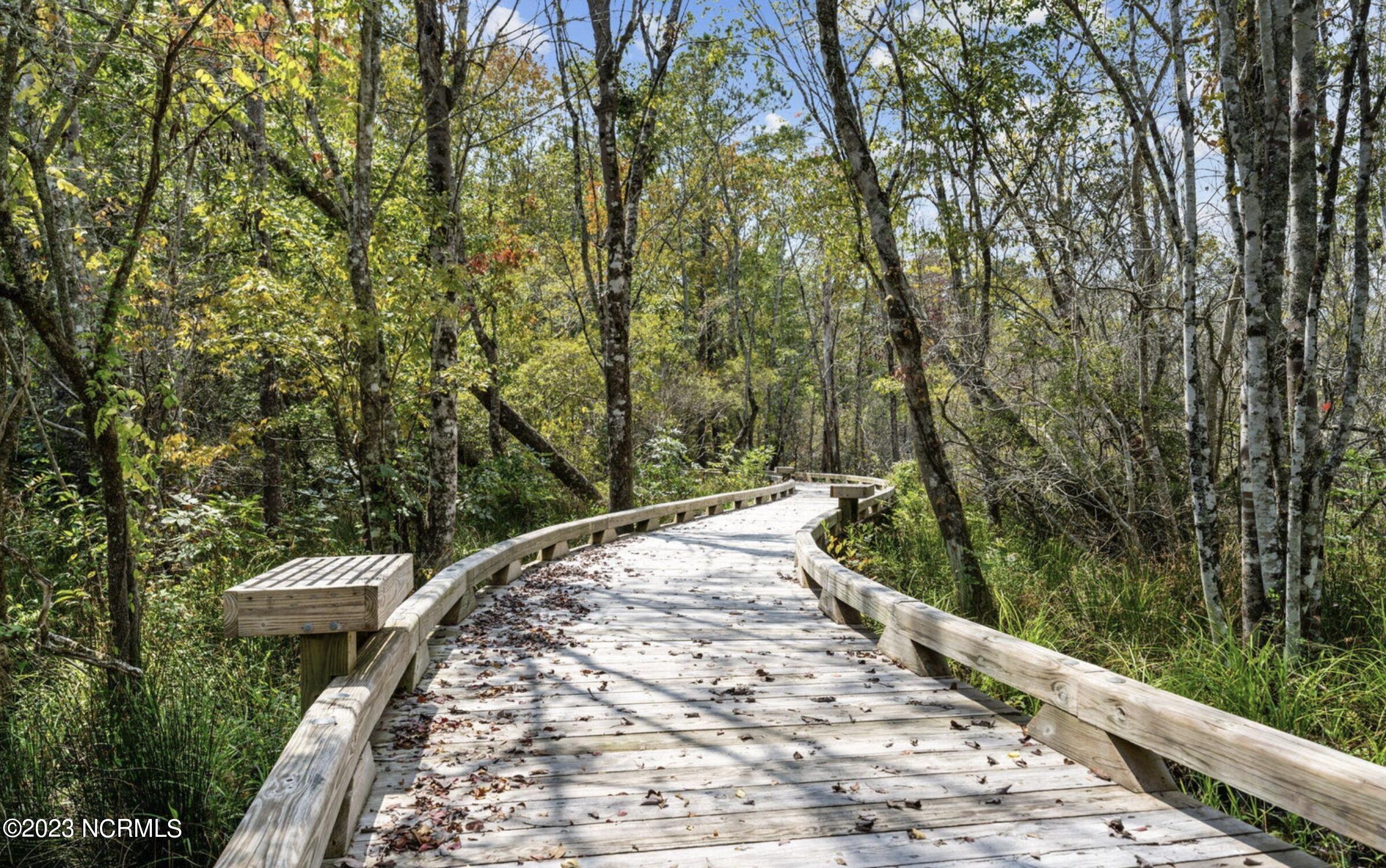 1457 Round Ridge Road Southeast Bolivia, NC 28422 - Photo 50 of 51 Nature path