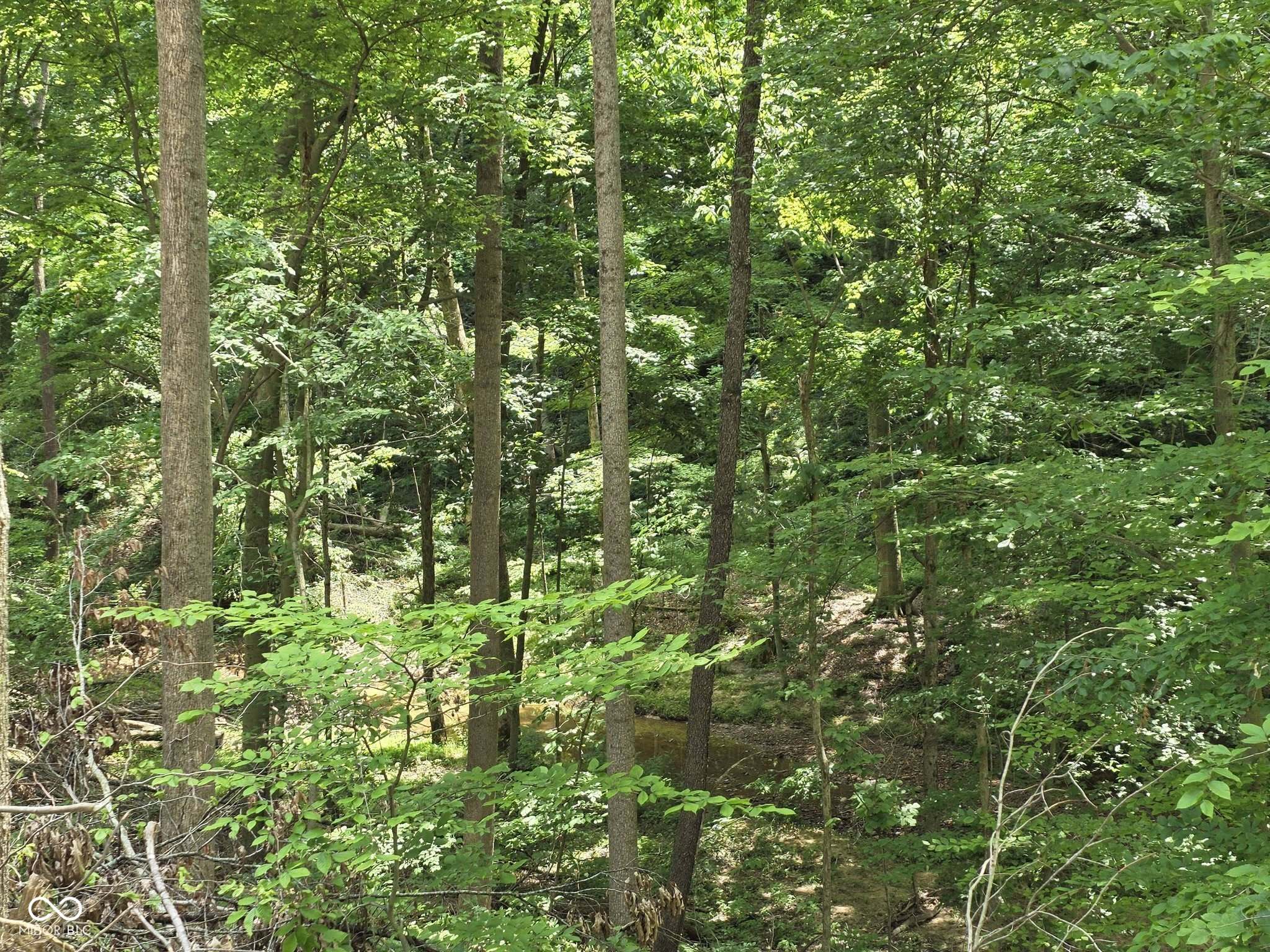 0 Blue Barn Road Bloomfield, IN 47424 - Photo 22 of 69