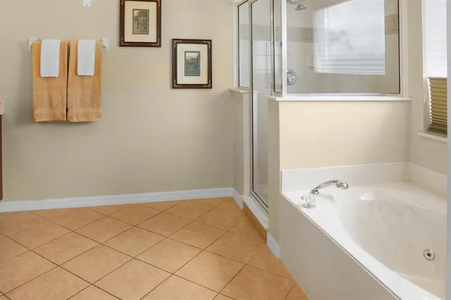a bathroom with a bathtub and shower
