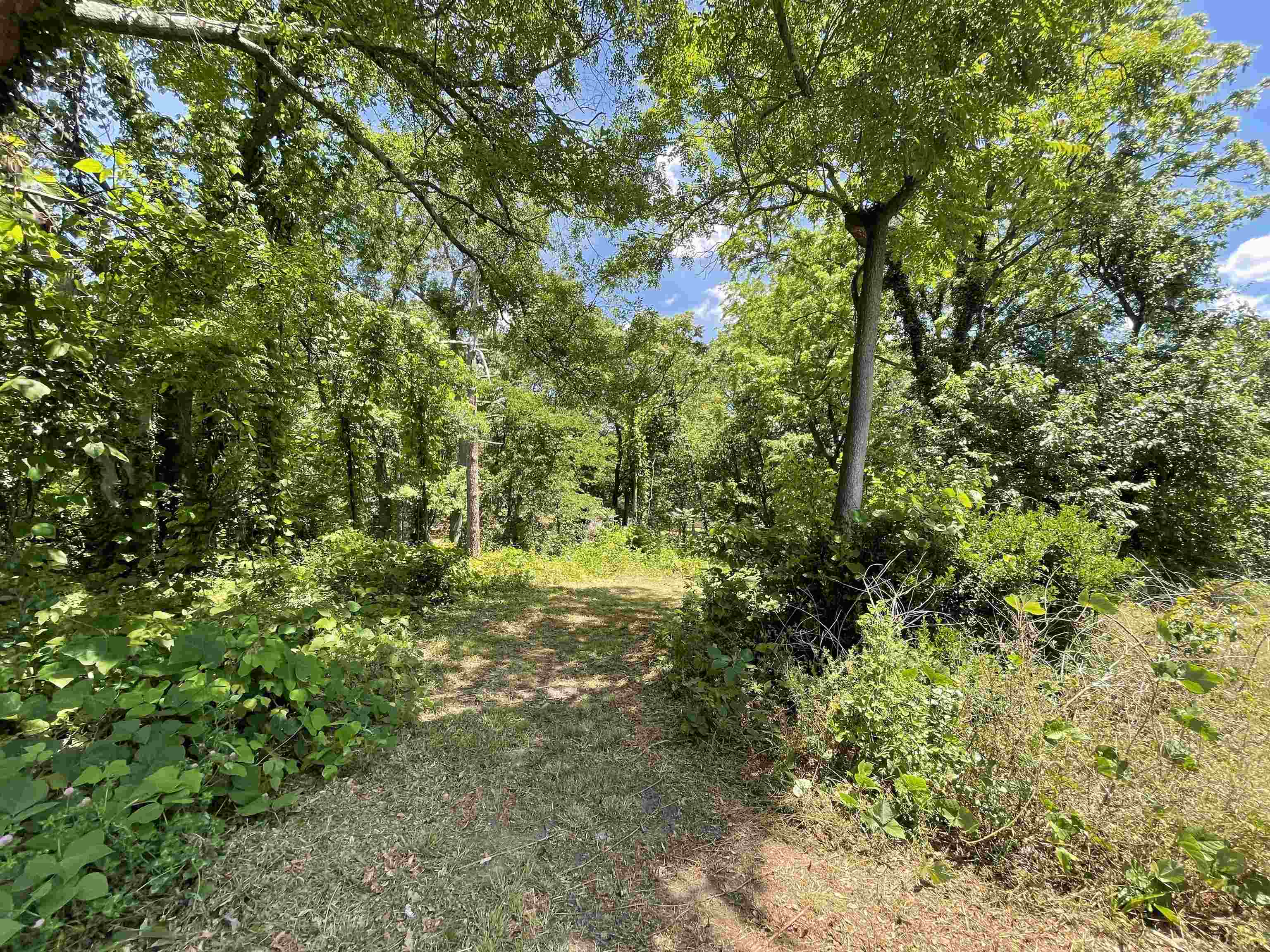 114 Ashley Street Cowpens, SC 29330 - Photo 3 of 4