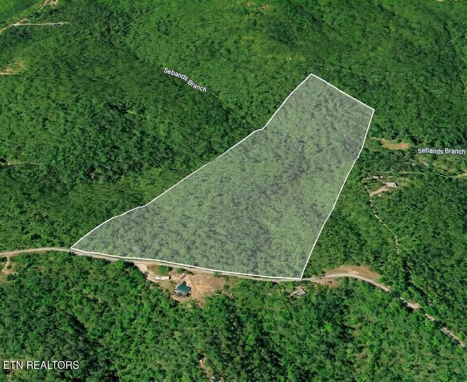 0 Sheep Ranch Road Robbins, TN 37852 - Photo 20 of 29 691720050_1294945648717390_6376748183677
