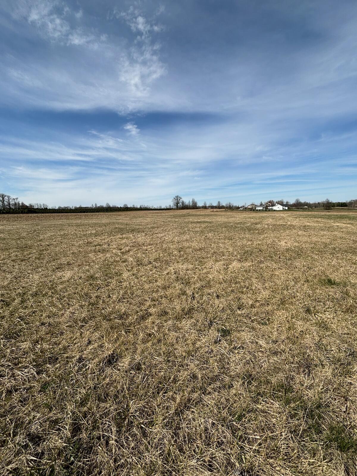 0 Cackler Road Delaware, OH 43015 - Photo 4 of 4 Land
