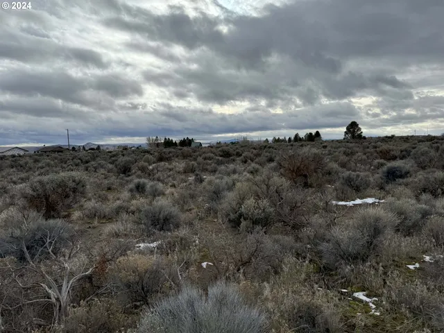 a view of a big yard with lots of bushes