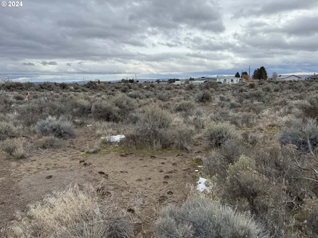 a view of a dry yard with wooden fence