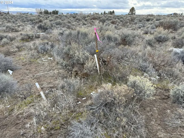 a view of a dry yard
