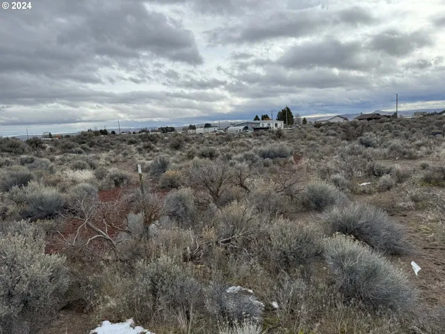 a view of a big yard with lots of bushes