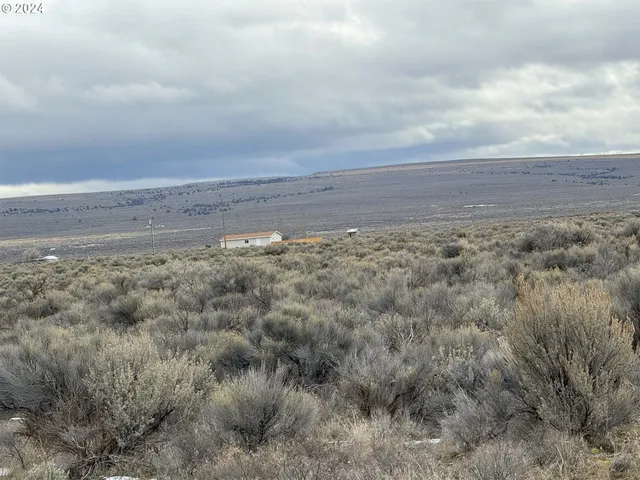 a view of beach and ocean