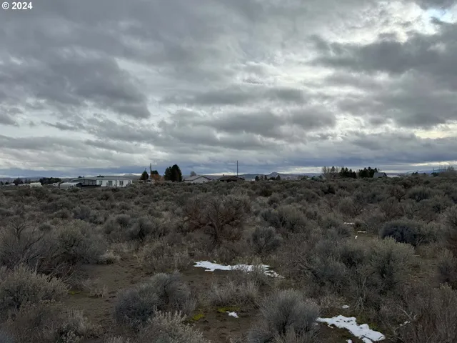 a view of a bunch of trees in a field