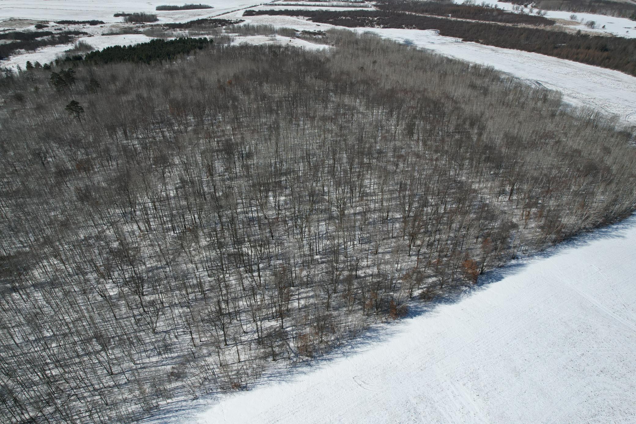 14 Sebeka Mn 56477 Sebeka, MN 56477 - Photo 11 of 87