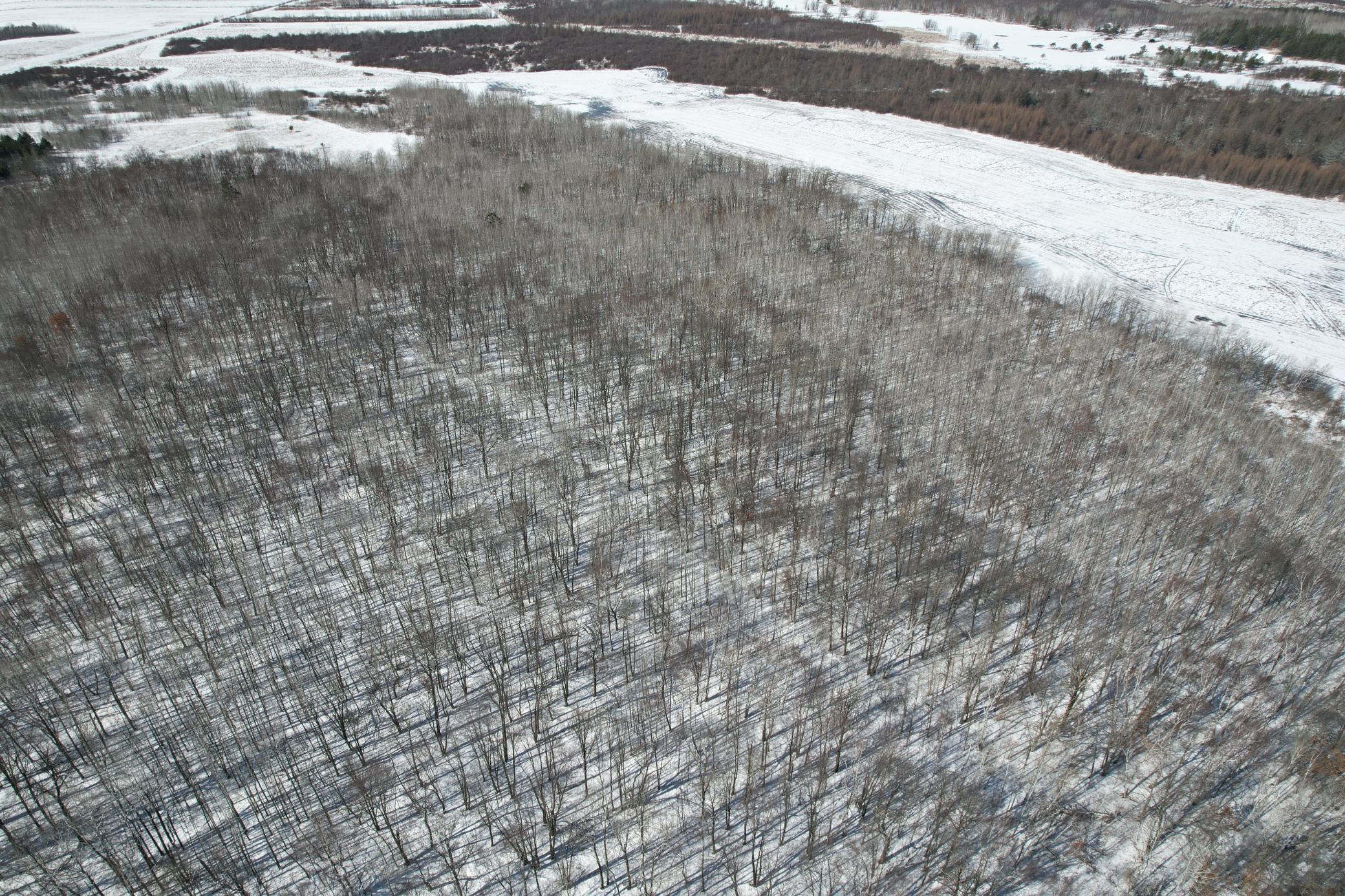 14 Sebeka Mn 56477 Sebeka, MN 56477 - Photo 12 of 87