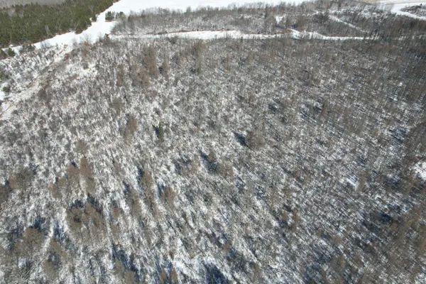 $749,000 | 14 Sebeka Mn 56477, Sebeka, MN 56477