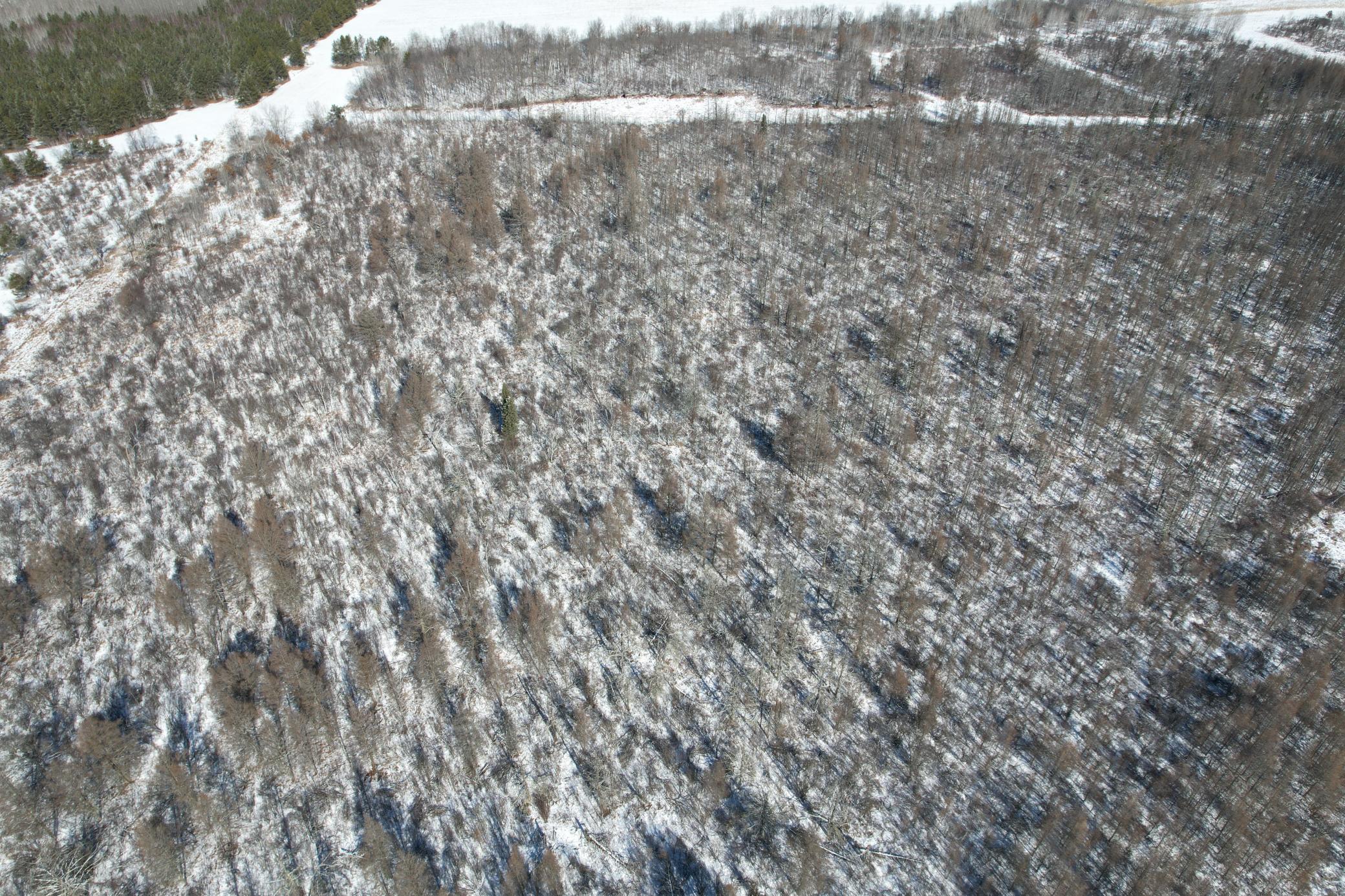 14 Sebeka Mn 56477 Sebeka, MN 56477 - Photo 17 of 87