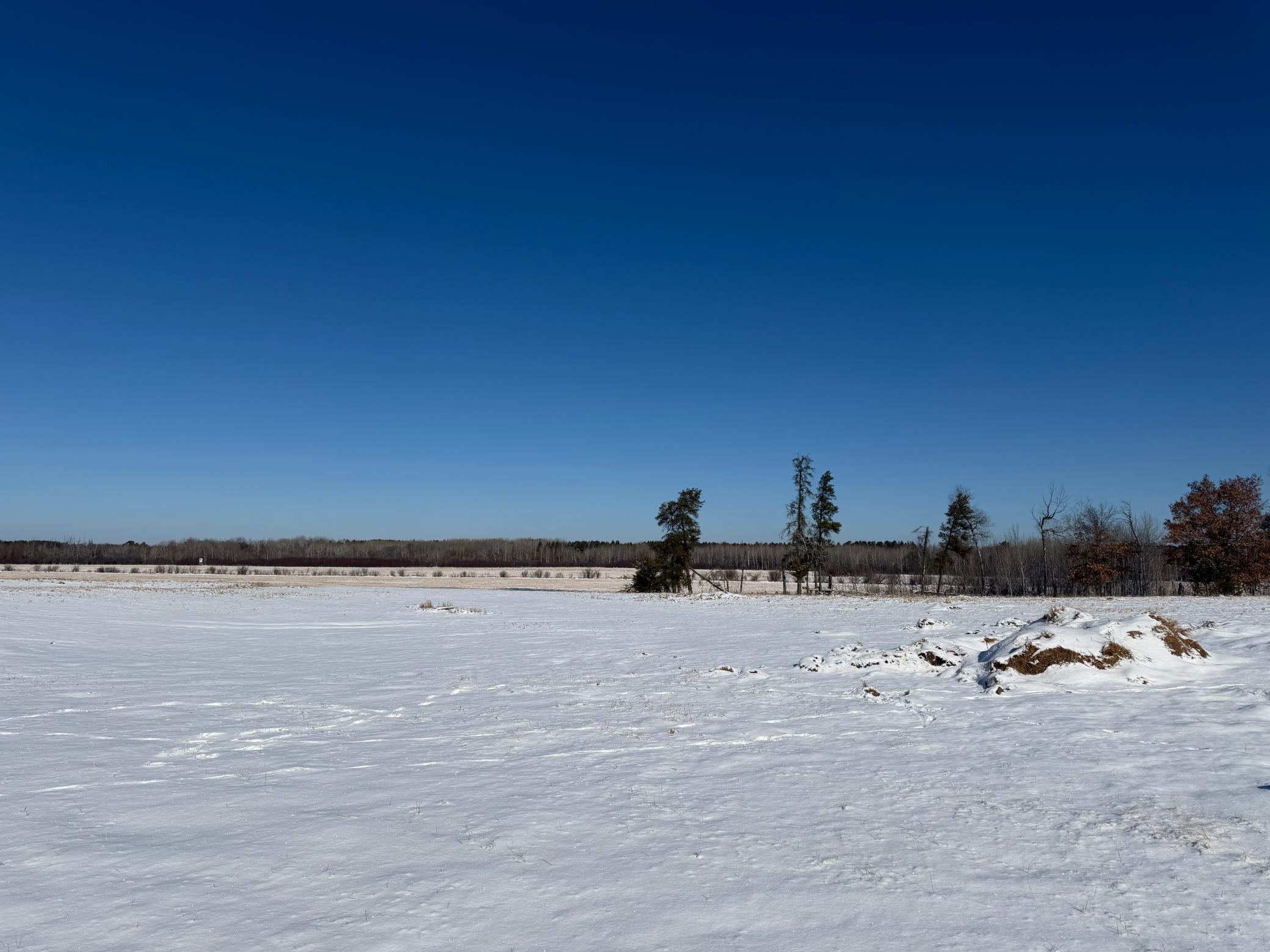 14 Sebeka Mn 56477 Sebeka, MN 56477 - Photo 29 of 87