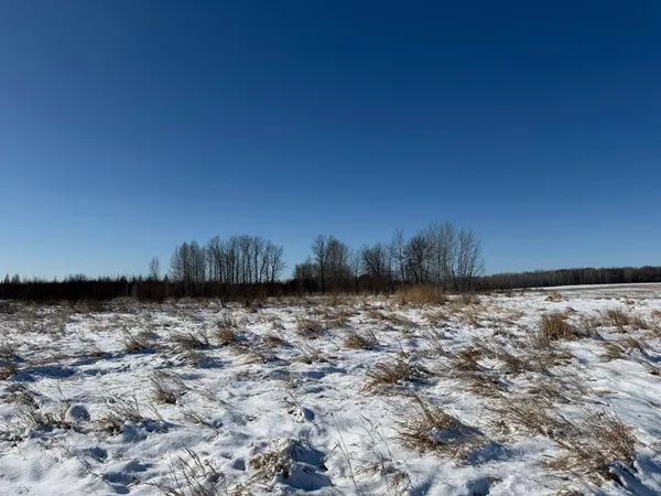 $749,000 | 14 Sebeka Mn 56477, Sebeka, MN 56477