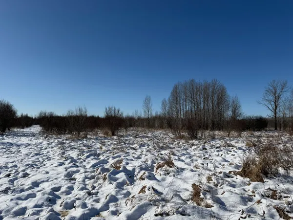 $749,000 | 14 Sebeka Mn 56477, Sebeka, MN 56477