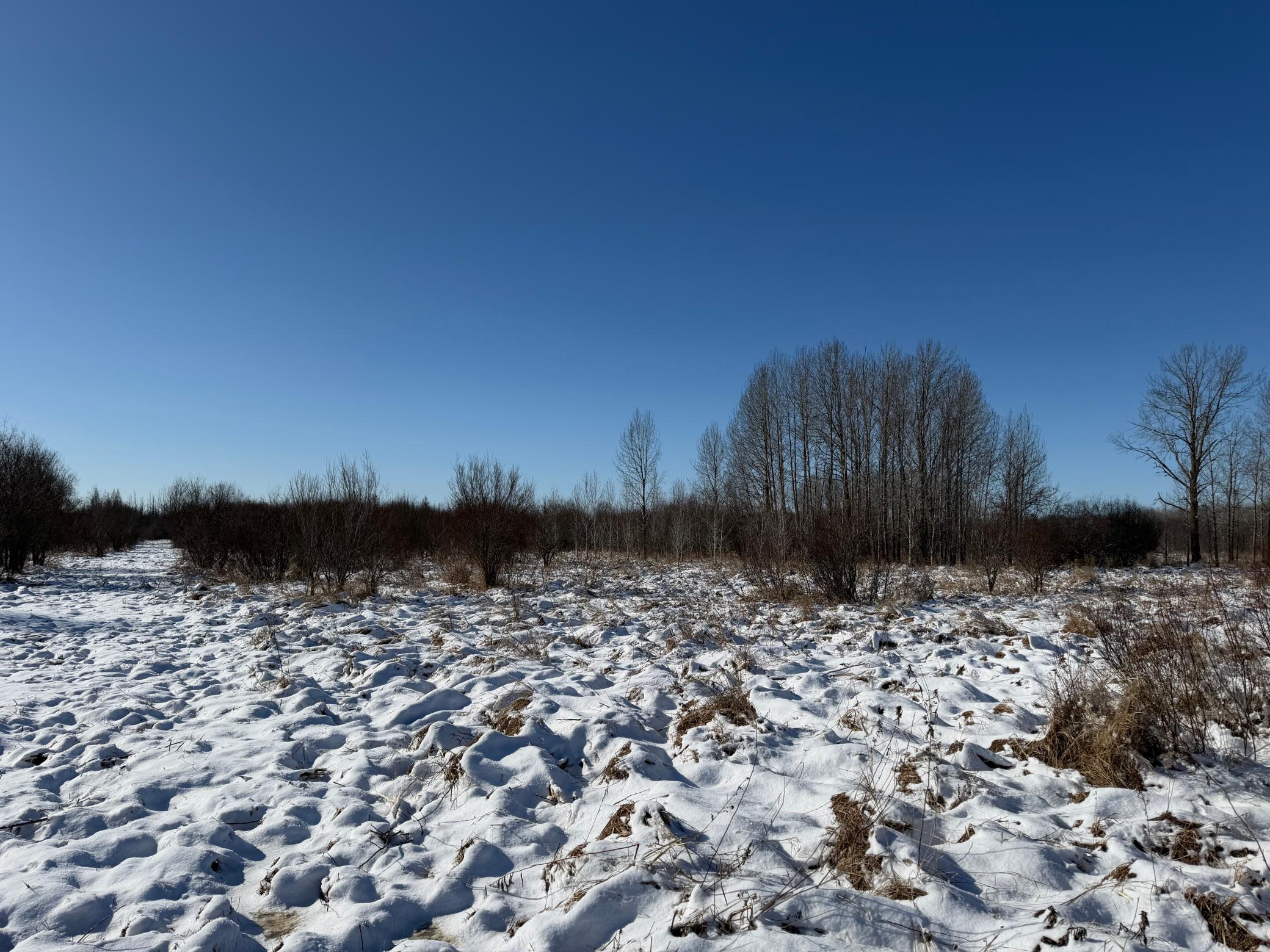 14 Sebeka Mn 56477 Sebeka, MN 56477 - Photo 43 of 87