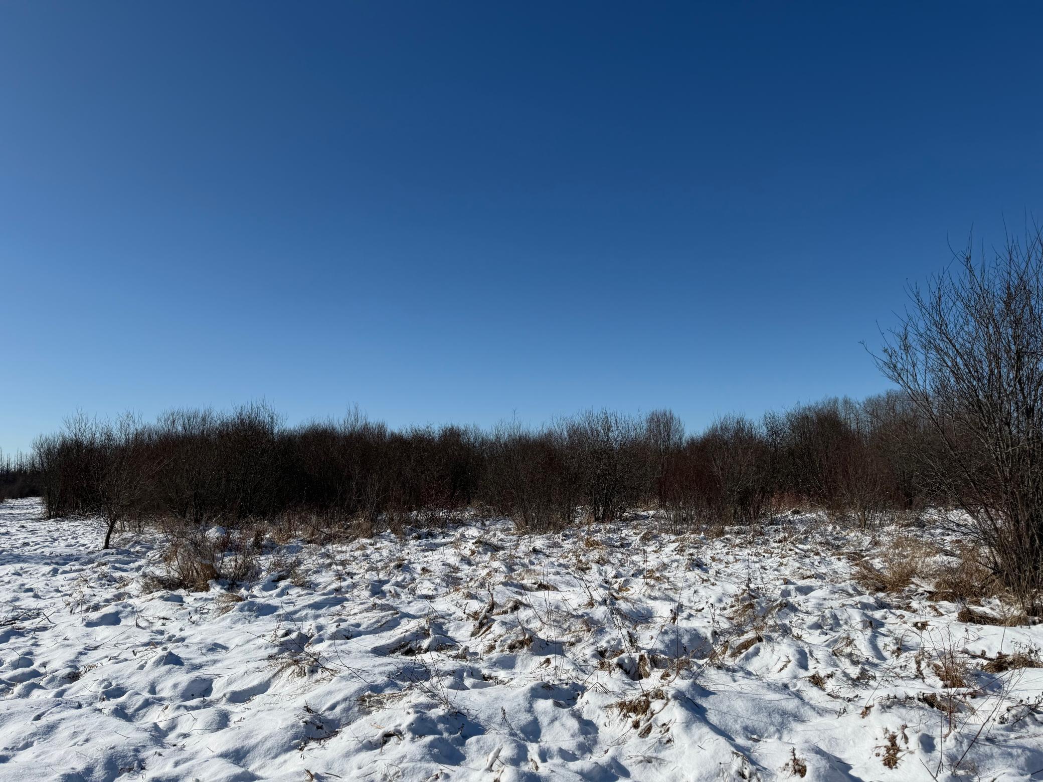 14 Sebeka Mn 56477 Sebeka, MN 56477 - Photo 44 of 87