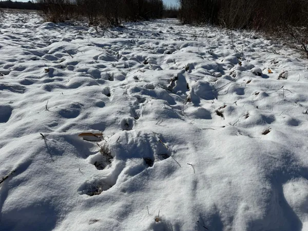 $749,000 | 14 Sebeka Mn 56477, Sebeka, MN 56477