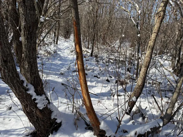 $749,000 | 14 Sebeka Mn 56477, Sebeka, MN 56477