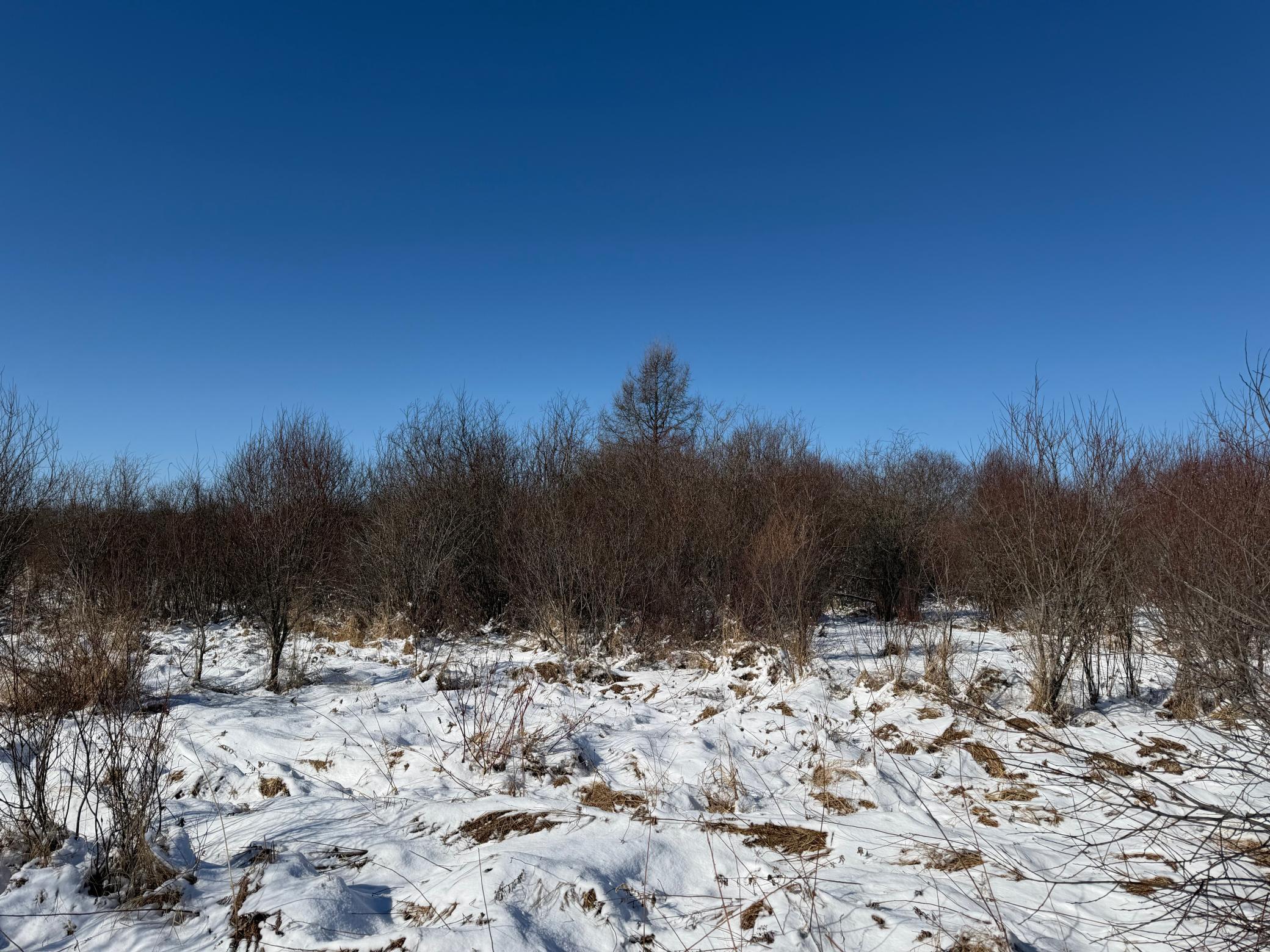 14 Sebeka Mn 56477 Sebeka, MN 56477 - Photo 47 of 87