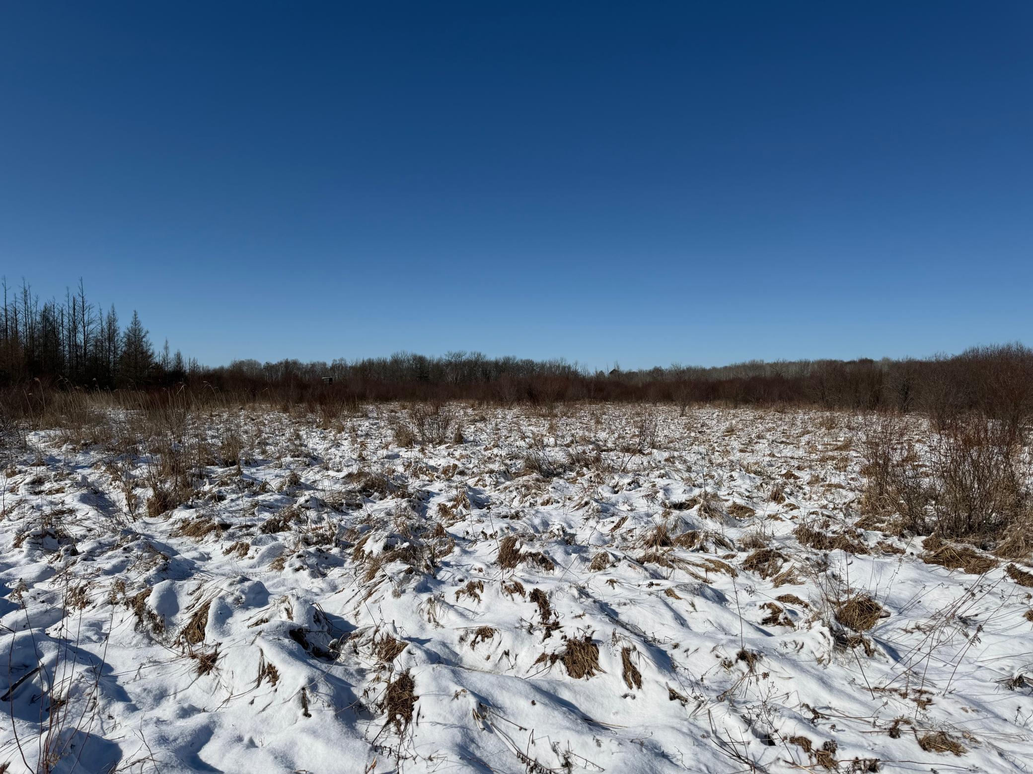 14 Sebeka Mn 56477 Sebeka, MN 56477 - Photo 48 of 87