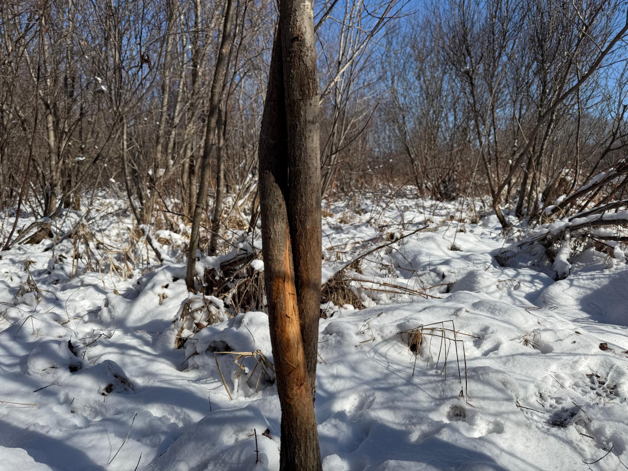 14 Sebeka Mn 56477 Sebeka, MN 56477 - Photo 50 of 87