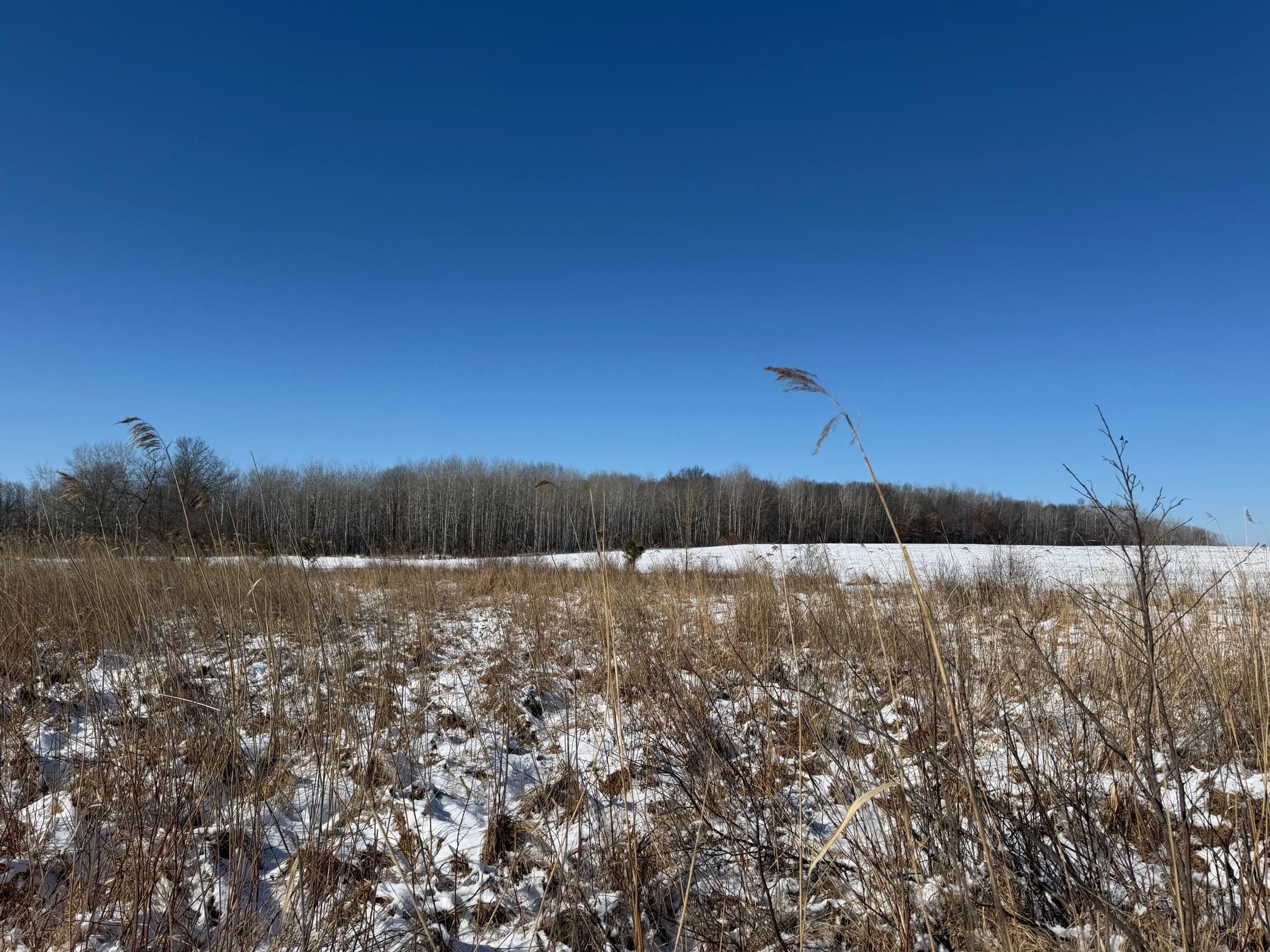 14 Sebeka Mn 56477 Sebeka, MN 56477 - Photo 52 of 87