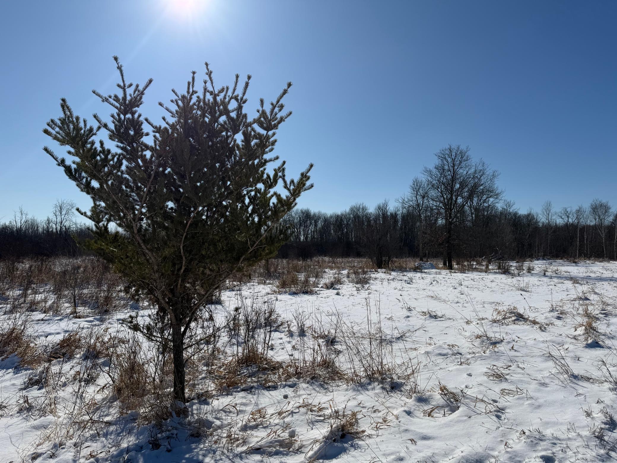 14 Sebeka Mn 56477 Sebeka, MN 56477 - Photo 53 of 87